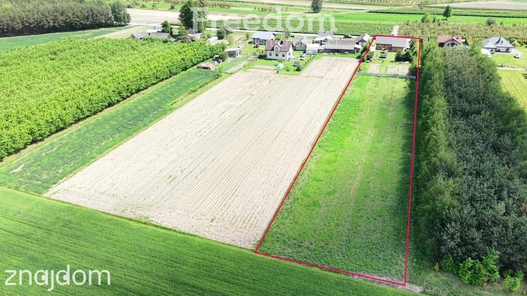 6letni dom z działką w spokojnej okolicy - zdjęcie 18