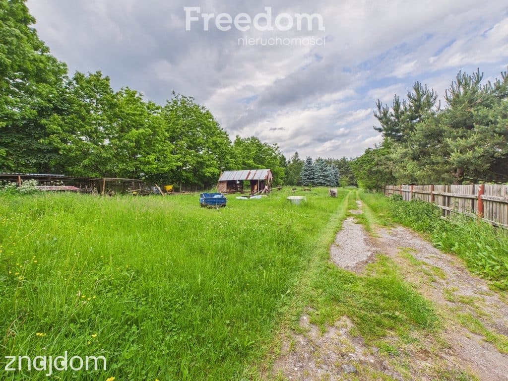 Dom z zabudowaniami i działką 6621 m², Szypowice - zdjęcie 15