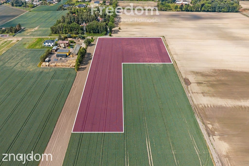 Działka Ożarów Mazowiecki - Umiastów - 3,16 ha - zdjęcie 6