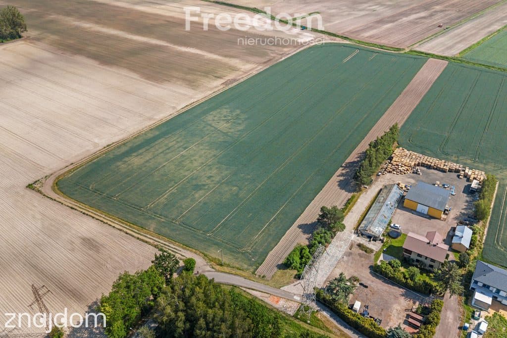 Działka Ożarów Mazowiecki - Umiastów - 3,16 ha - zdjęcie 8