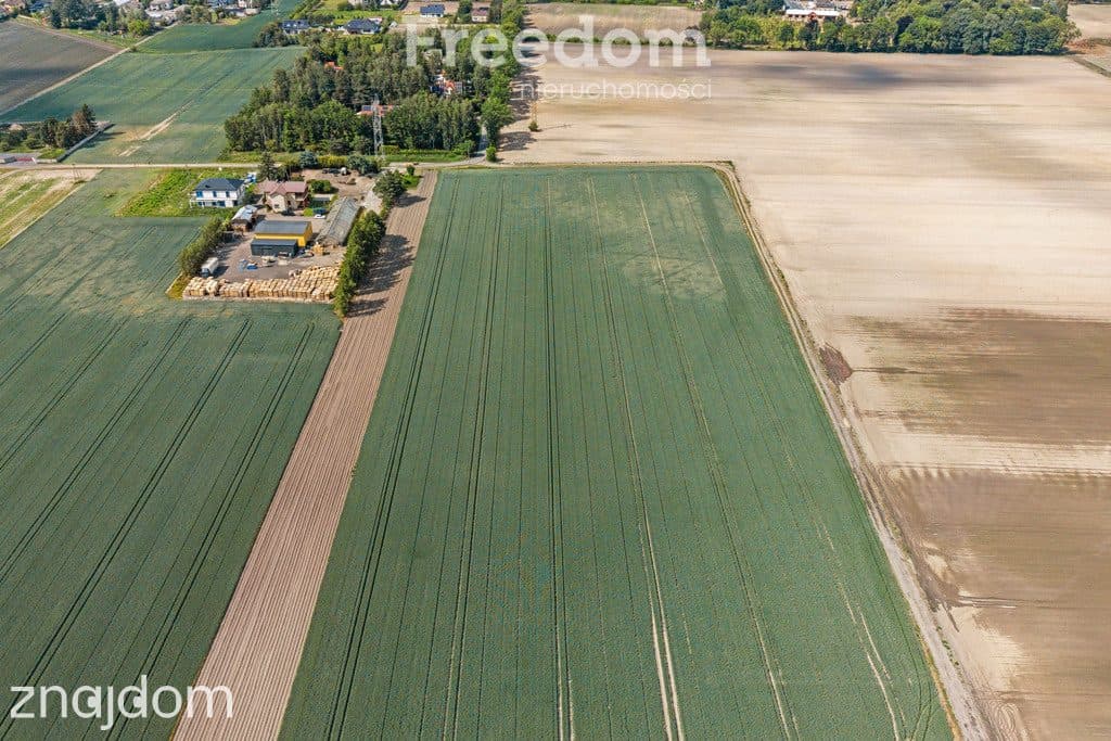 Działka Ożarów Mazowiecki - Umiastów - 3,16 ha - zdjęcie 11