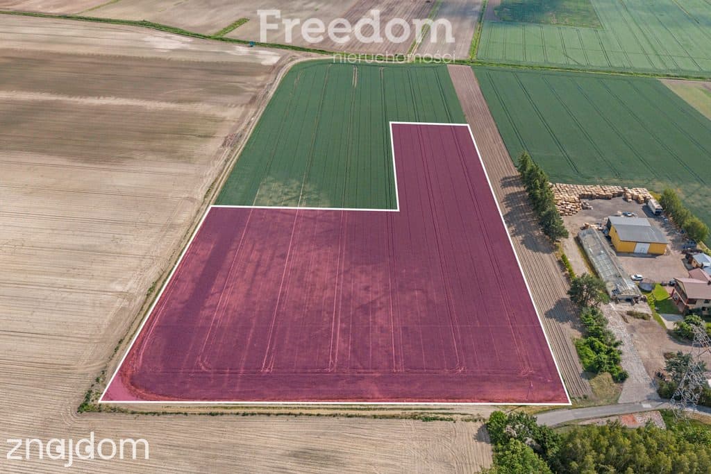 Działka Ożarów Mazowiecki - Umiastów - 3,16 ha - zdjęcie 17
