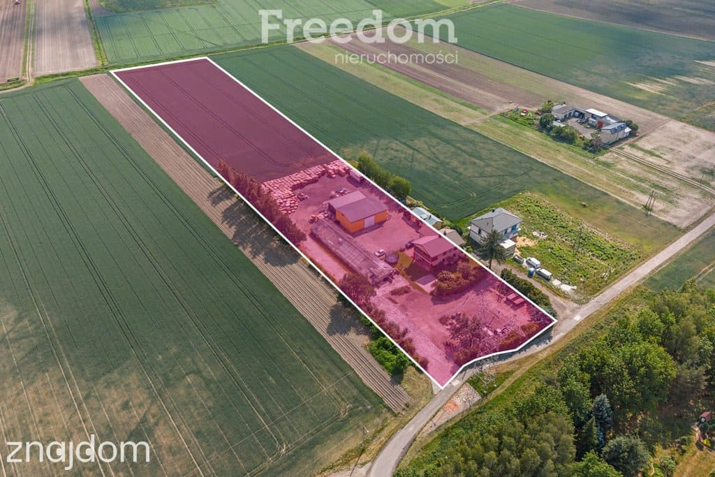 Działka Ożarów Mazowiecki - Umiastów - 3,16 ha - zdjęcie 3