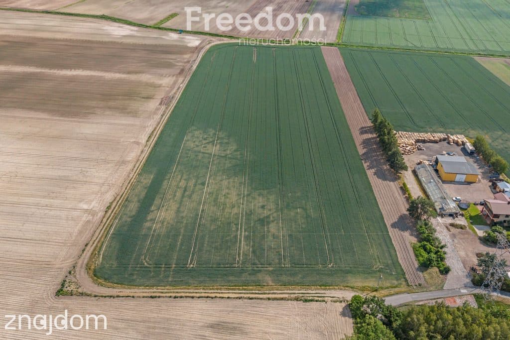 Działka Ożarów Mazowiecki - Umiastów - 3,16 ha - zdjęcie 20