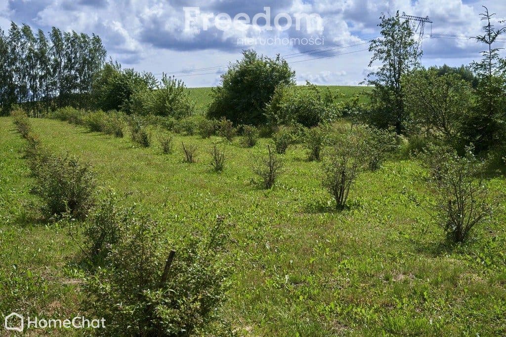 Na sprzedaż siedlisko w malowniczej okolicy