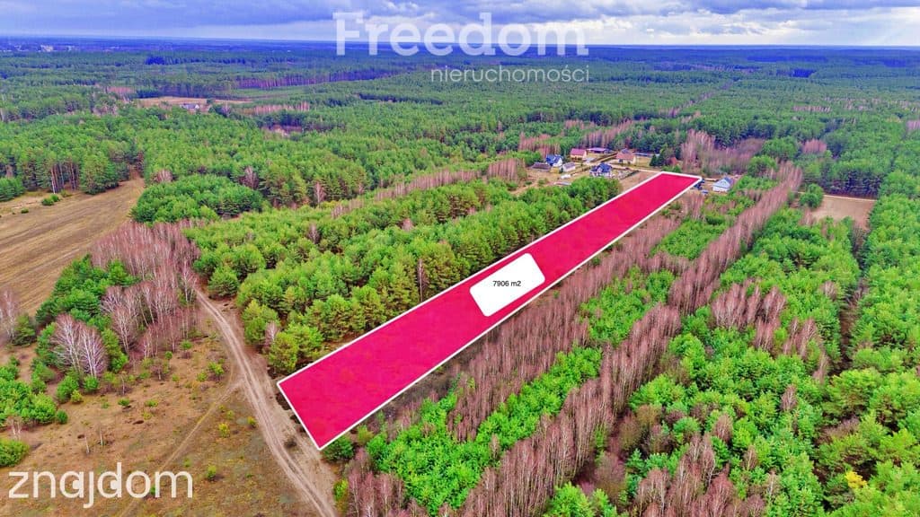 Działki w Kalinowie, Gmina Długosiodło - zdjęcie 10