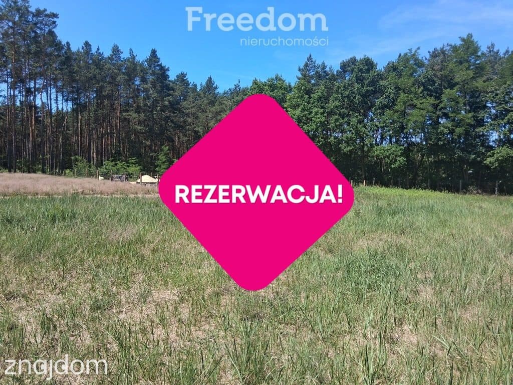 Działka w otulinie lasu z warunkami zabudowy - zdjęcie 2