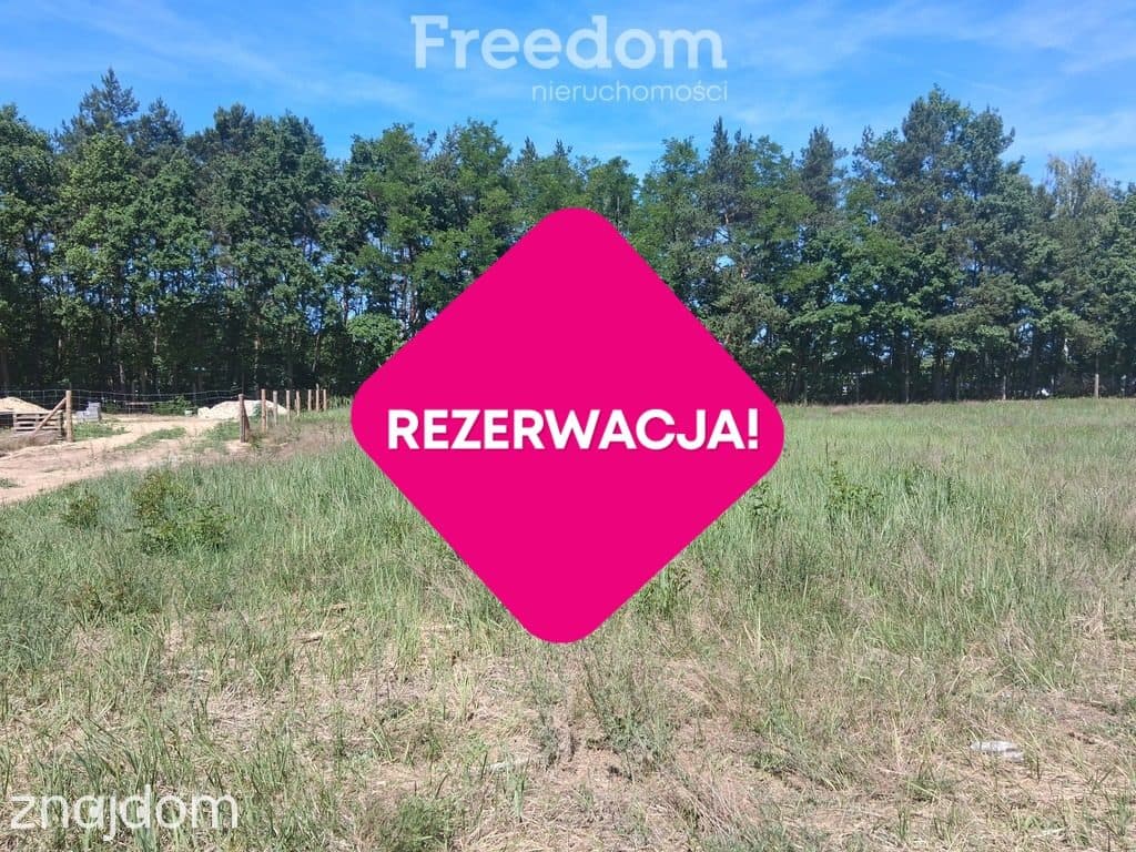 Działka w otulinie lasu z warunkami zabudowy - zdjęcie 3