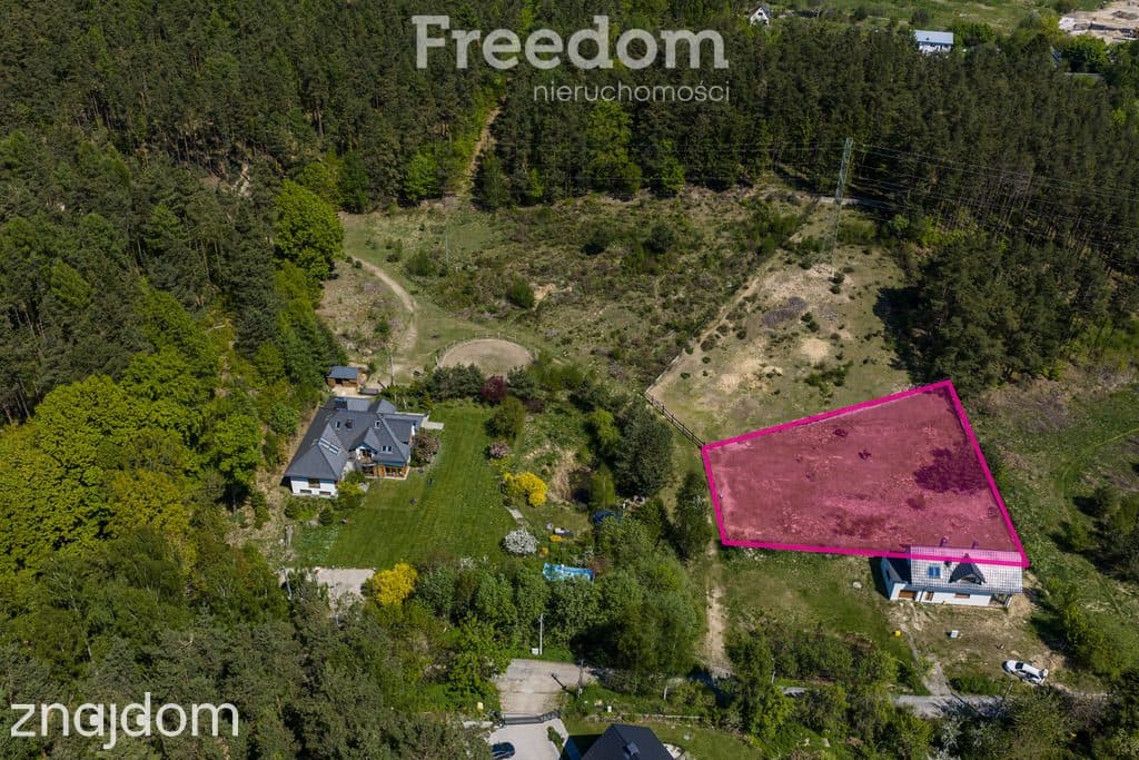 płaska | zabudowa jednorodzinna rezydencjalna - zdjęcie 2