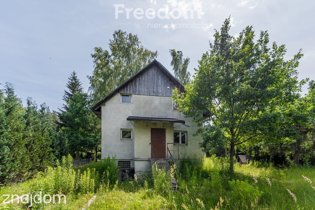 Dom z kominkiem w pierwszej linii lasu - zdjęcie 18