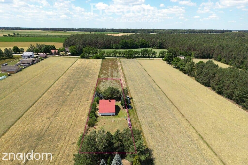 Dom w otulinie Nadbużańskiego Parku | 2300 m² - zdjęcie 5