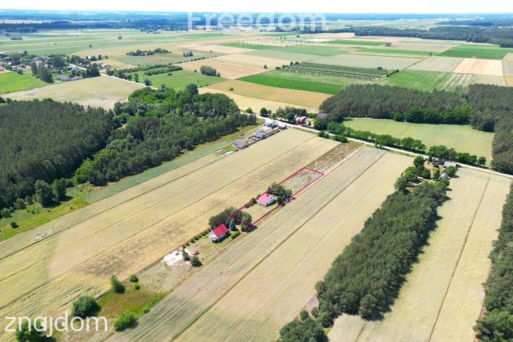 Dom w otulinie Nadbużańskiego Parku | 2300 m² - zdjęcie 4