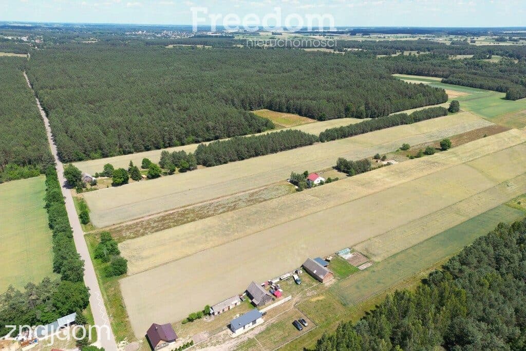 Dom w otulinie Nadbużańskiego Parku | 2300 m² - zdjęcie 6