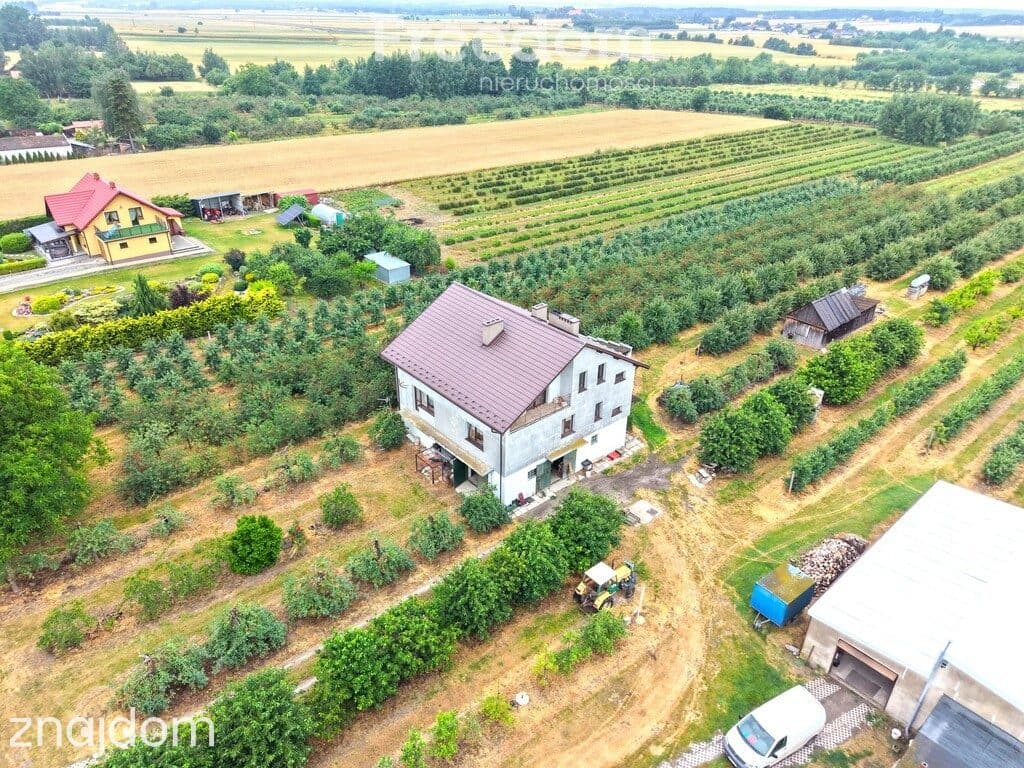 Dom 280 m2 z dochodowym sadem i chłodniami