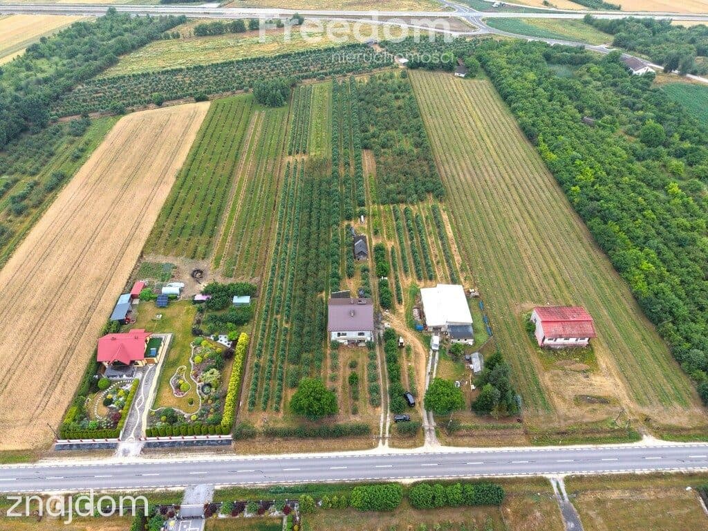 Dom 280 m2 z dochodowym sadem i chłodniami - zdjęcie 9