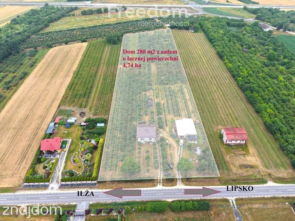 Dom 280 m2 z dochodowym sadem i chłodniami - zdjęcie 12