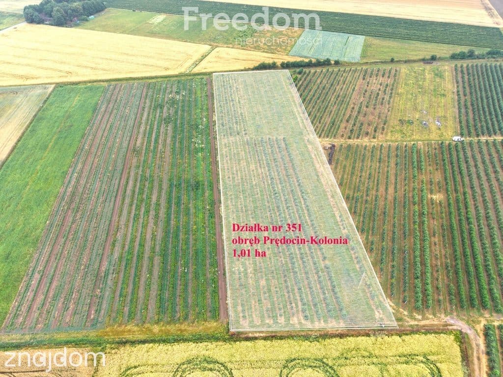 Dom 280 m2 z dochodowym sadem i chłodniami - zdjęcie 11