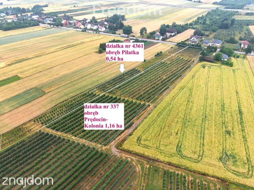 Dom 280 m2 z dochodowym sadem i chłodniami - zdjęcie 8