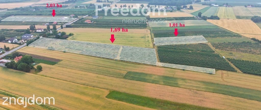 Dom 280 m2 z dochodowym sadem i chłodniami - zdjęcie 10