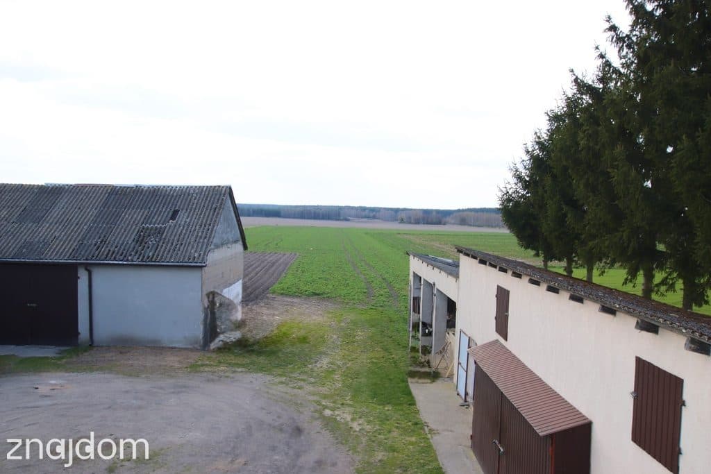 Dom z 1,05 ha działki | 7 pokoi | Dęby Szlacheckie - zdjęcie 9
