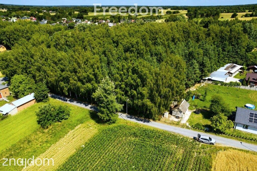 Działka budowlana 1000 m² | MPZP | 1,5 km Terespol - zdjęcie 4