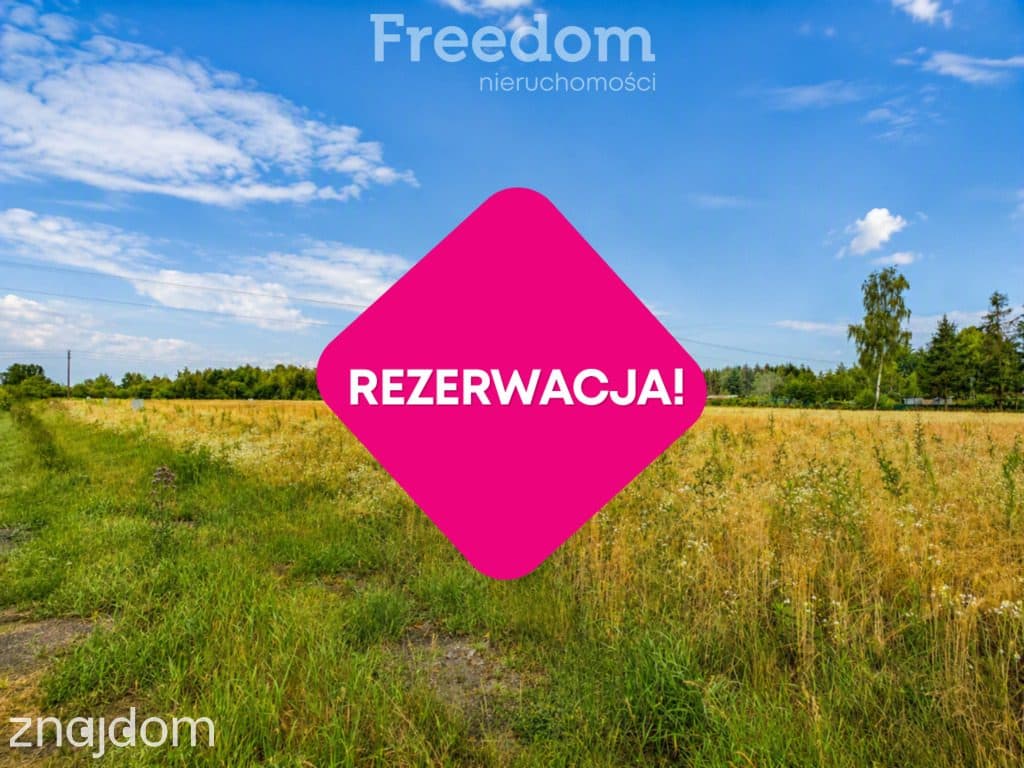 Działka budowlano-usługowa-Sosnowcica k/Mszczonowa - zdjęcie 2