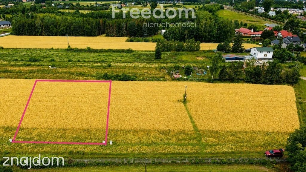 Działka budowlano-usługowa-Sosnowcica k/Mszczonowa - zdjęcie 3