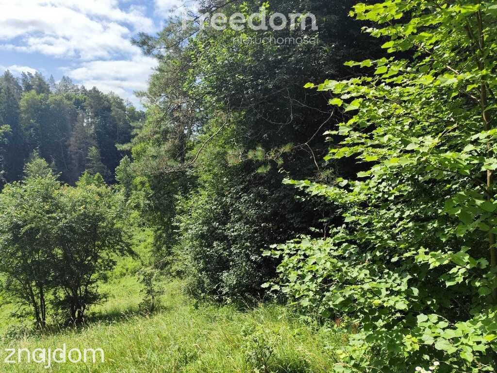 Działka na sprzedaż, Guzowy Piec, jezioro, 1777 m2 - zdjęcie 15