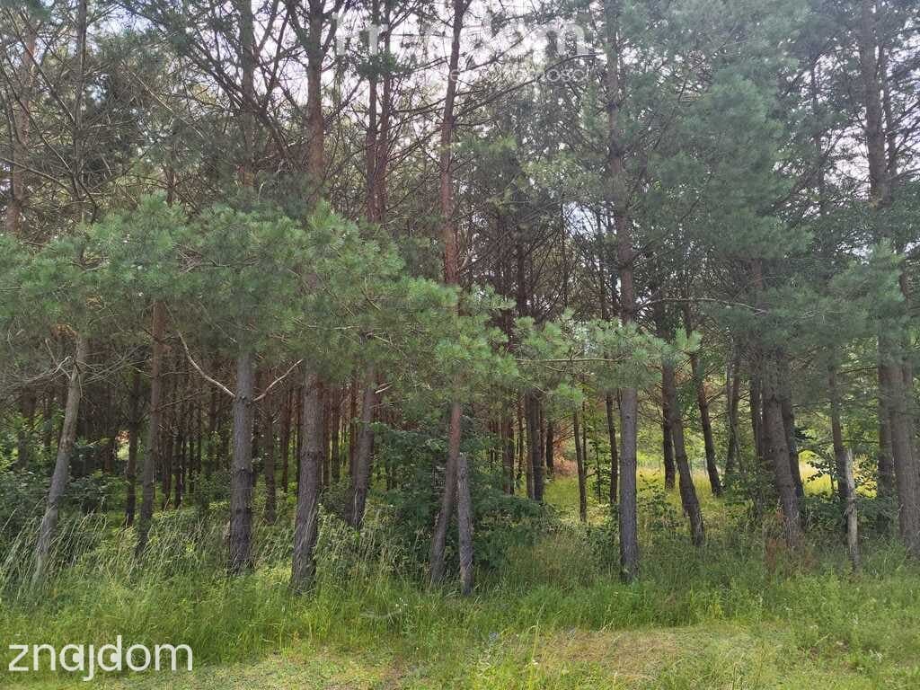 Działka na sprzedaż, Guzowy Piec, jezioro, 1777 m2 - zdjęcie 14