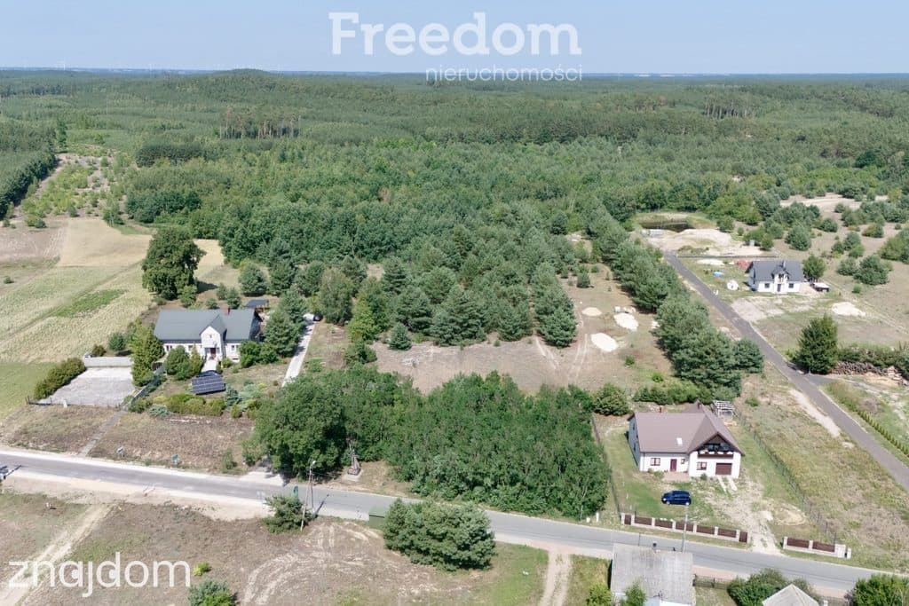 Działka 8100 m² – Goreń Duży - las, cisza, jeziora - zdjęcie 12