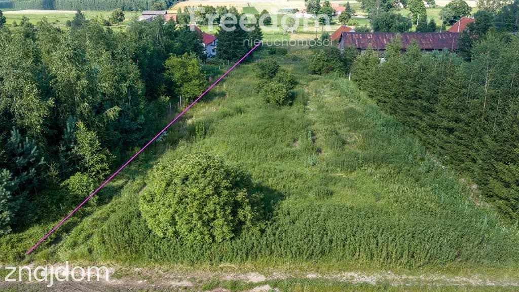 Działka 3352 m² w Bartkach - zdjęcie 4