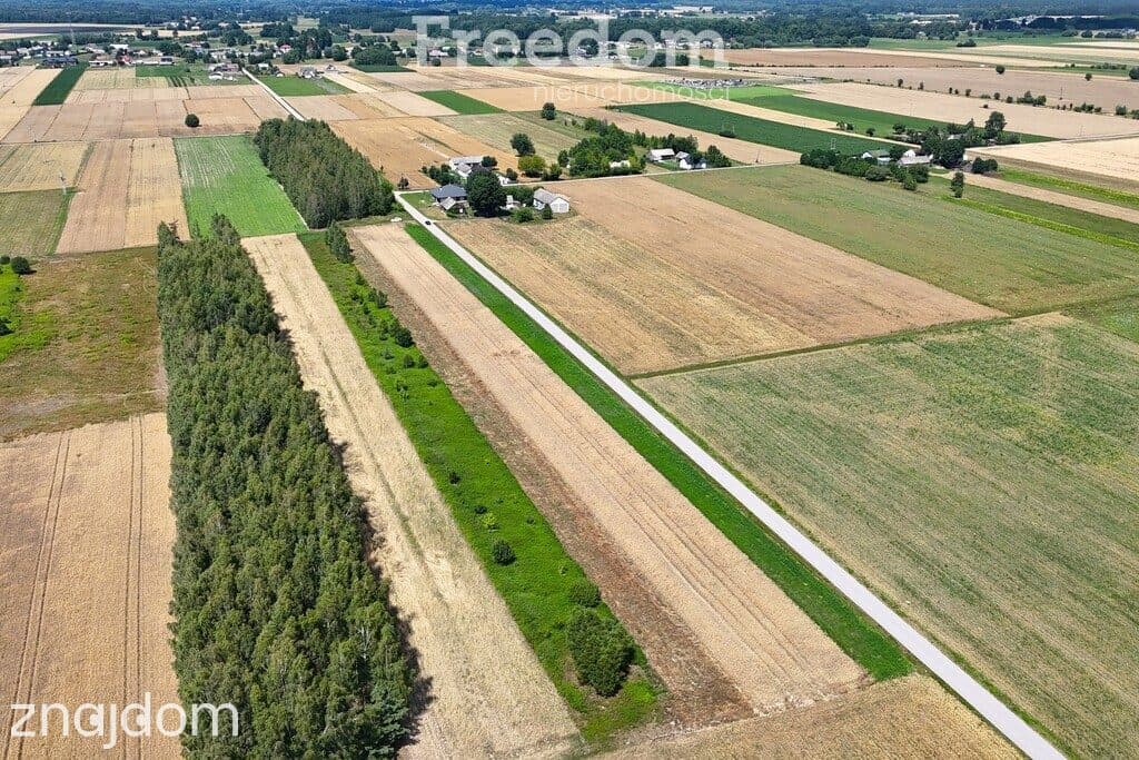 Działka budowlana Żeliszew Duży 5749 m2 - zdjęcie 3