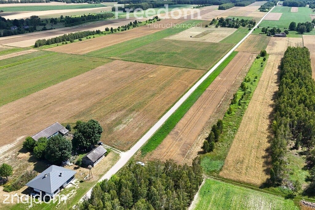 Działka budowlana Żeliszew Duży 5749 m2 - zdjęcie 4