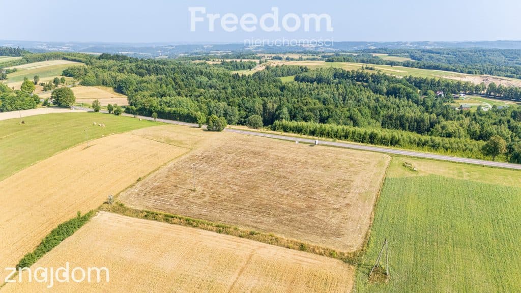 Działka Łubno z WZ 23,71 ar - zdjęcie 7