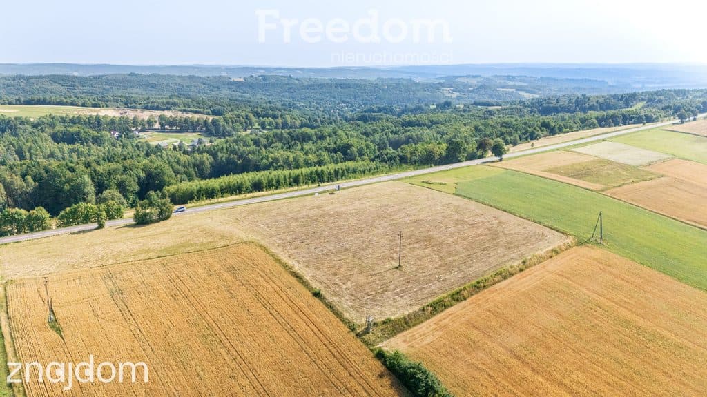 Działka Łubno z WZ 23,71 ar - zdjęcie 3
