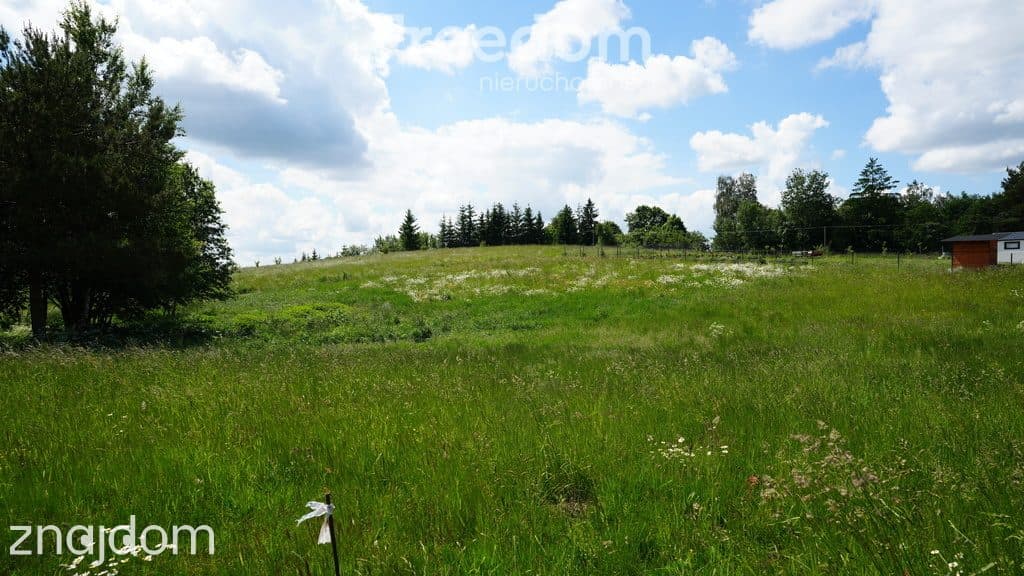 Działki budowlane Mazury – Pieczonki k. Giżycka - zdjęcie 19