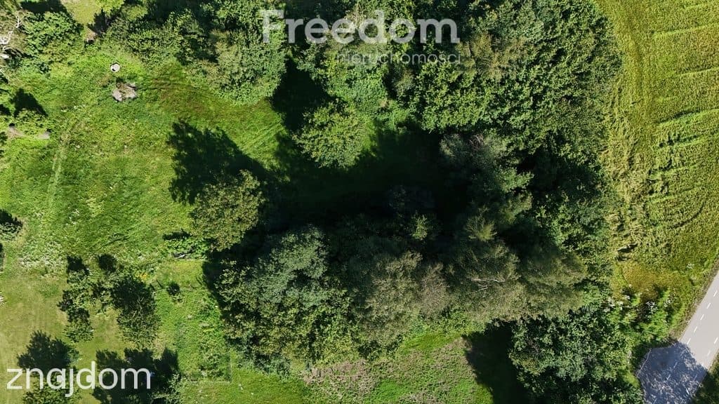 Działka 2626 m² blisko lasu | Gajewo - zdjęcie 11