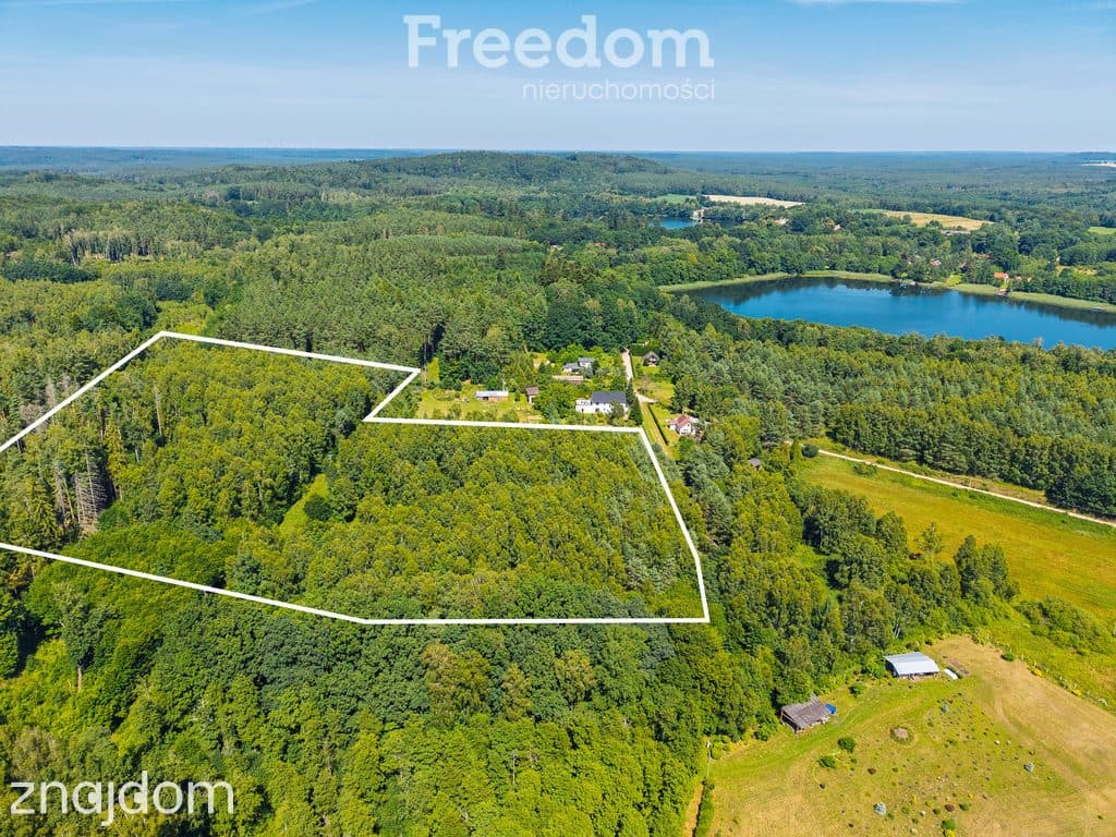 Prywatny las w Kręgu, blisko jeziora - zdjęcie 8