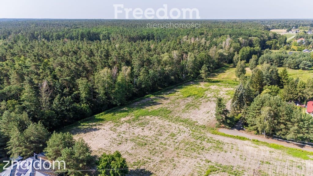 Działka budowlana 2000m² przy lesie Jastrzębie - zdjęcie 5