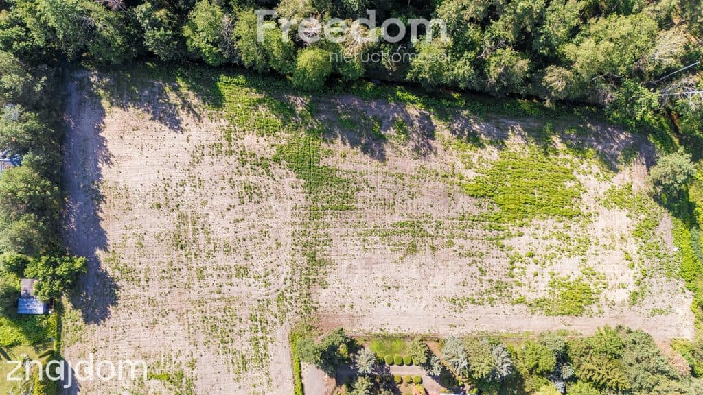 Działka budowlana 2000m² przy lesie Jastrzębie - zdjęcie 11