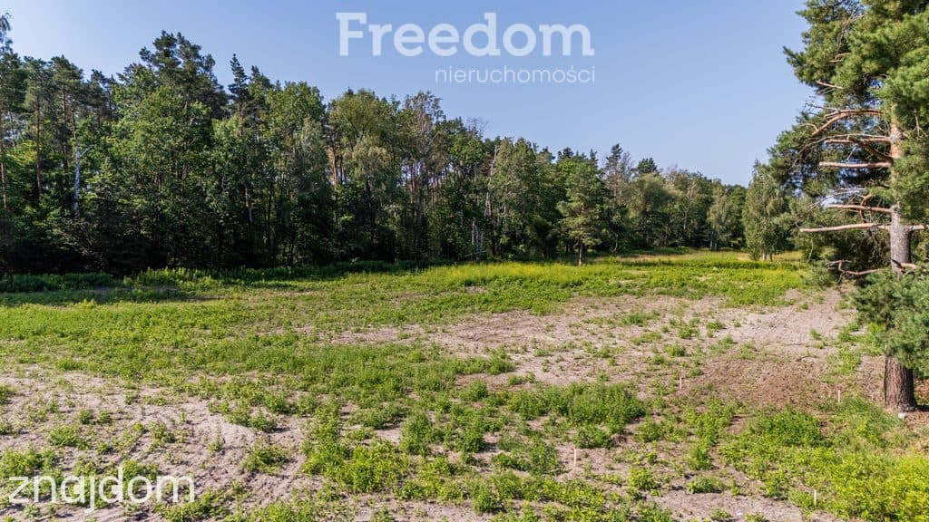 Działka budowlana 2000m² przy lesie Jastrzębie - zdjęcie 12