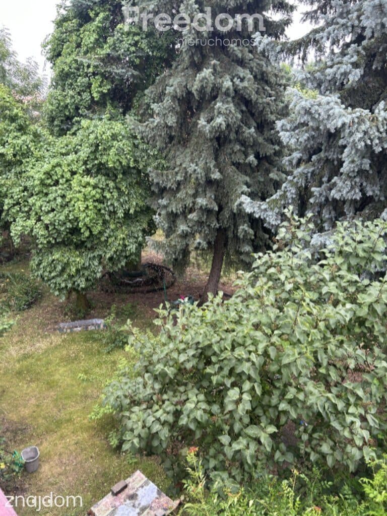 Dom w centrum z dużym ogrodem! - zdjęcie 5