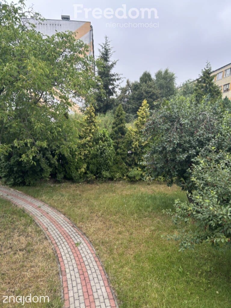 Dom w centrum z dużym ogrodem! - zdjęcie 7