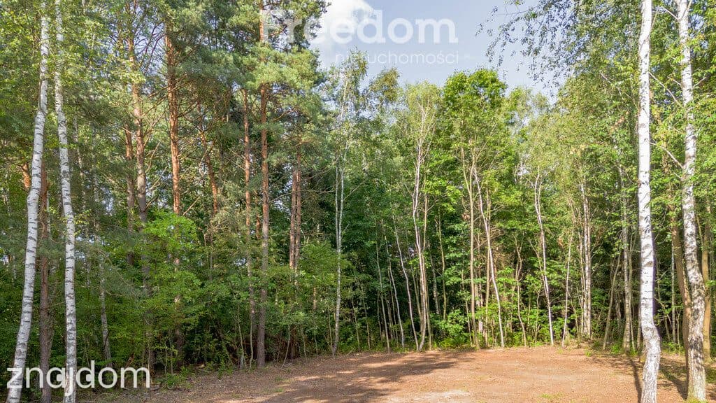 Twój rodzinny azyl pod lasem – Pogórska Wola! - zdjęcie 7