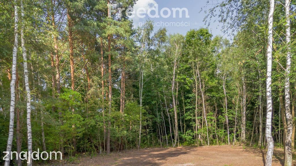 Twój rodzinny azyl pod lasem – Pogórska Wola! - zdjęcie 9