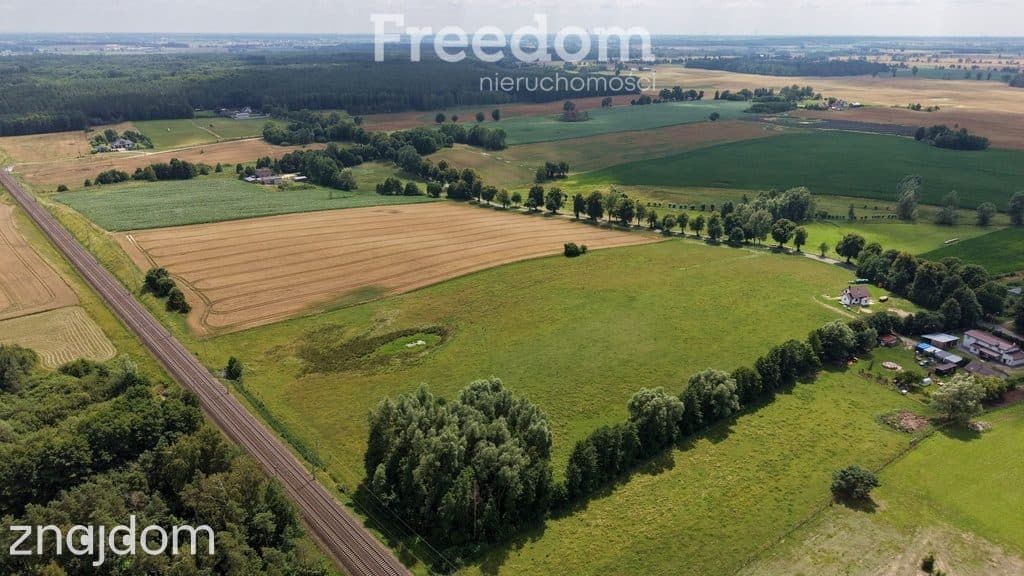 Kompleks działek na sprzedaż w Emilianowie. - zdjęcie 4