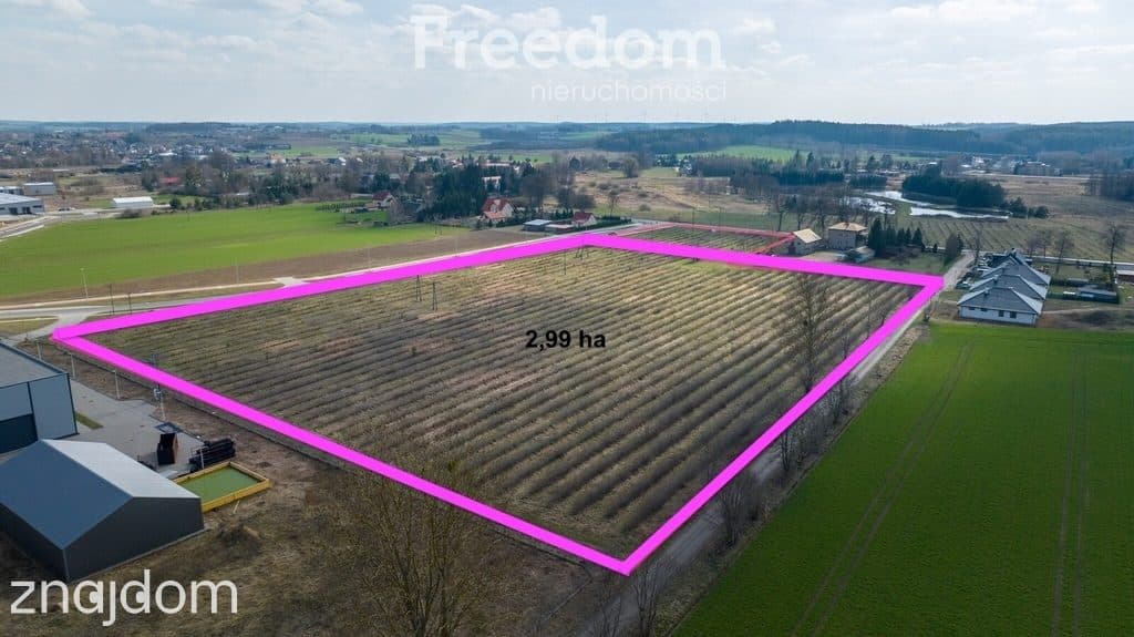 Działka przemysłowo-inwestycyjna o pow. 29 900 m² - zdjęcie 3