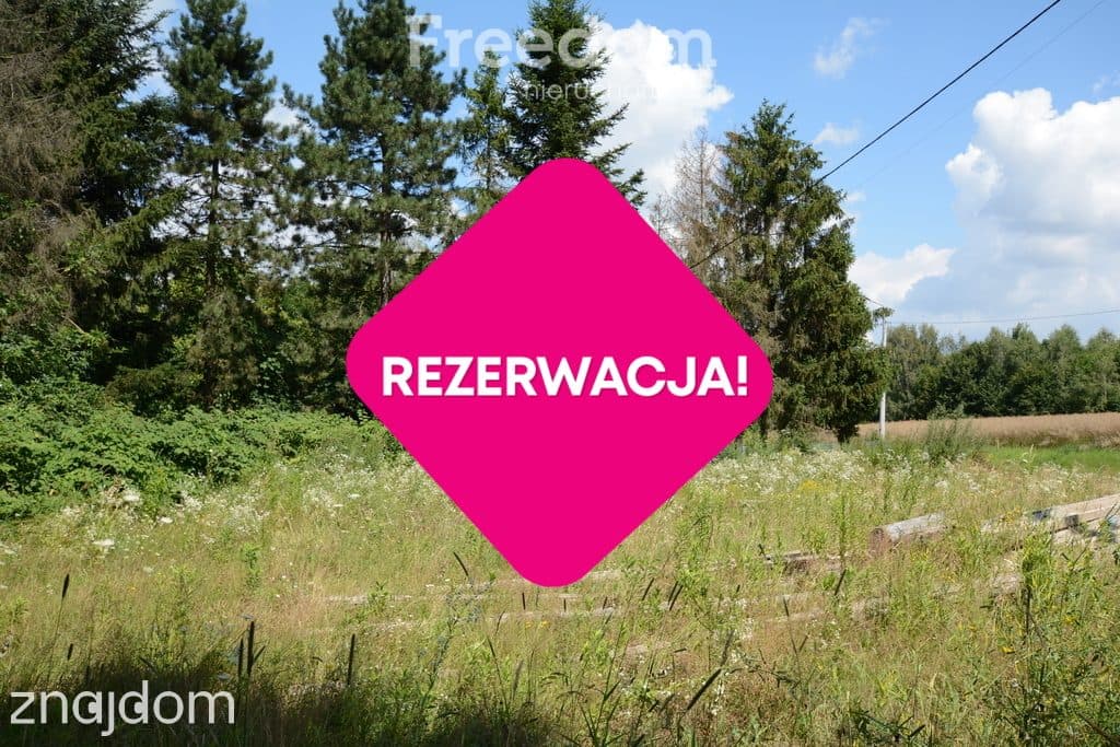 Rezerwacja - zdjęcie 12