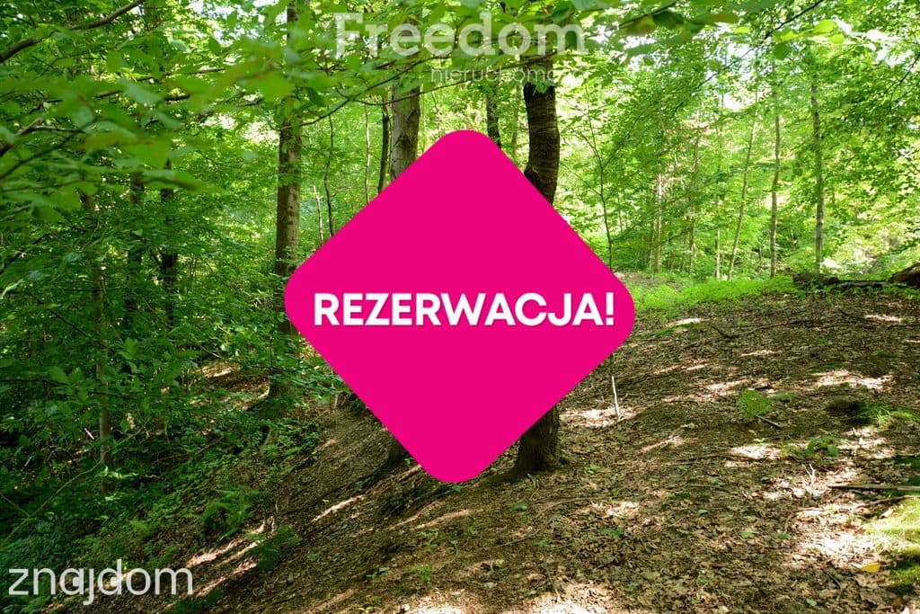 Rezerwacja - zdjęcie 17