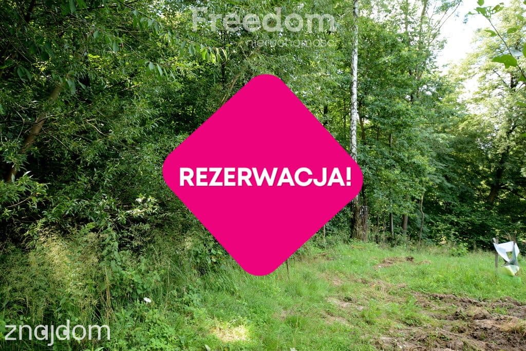 Rezerwacja - zdjęcie 19